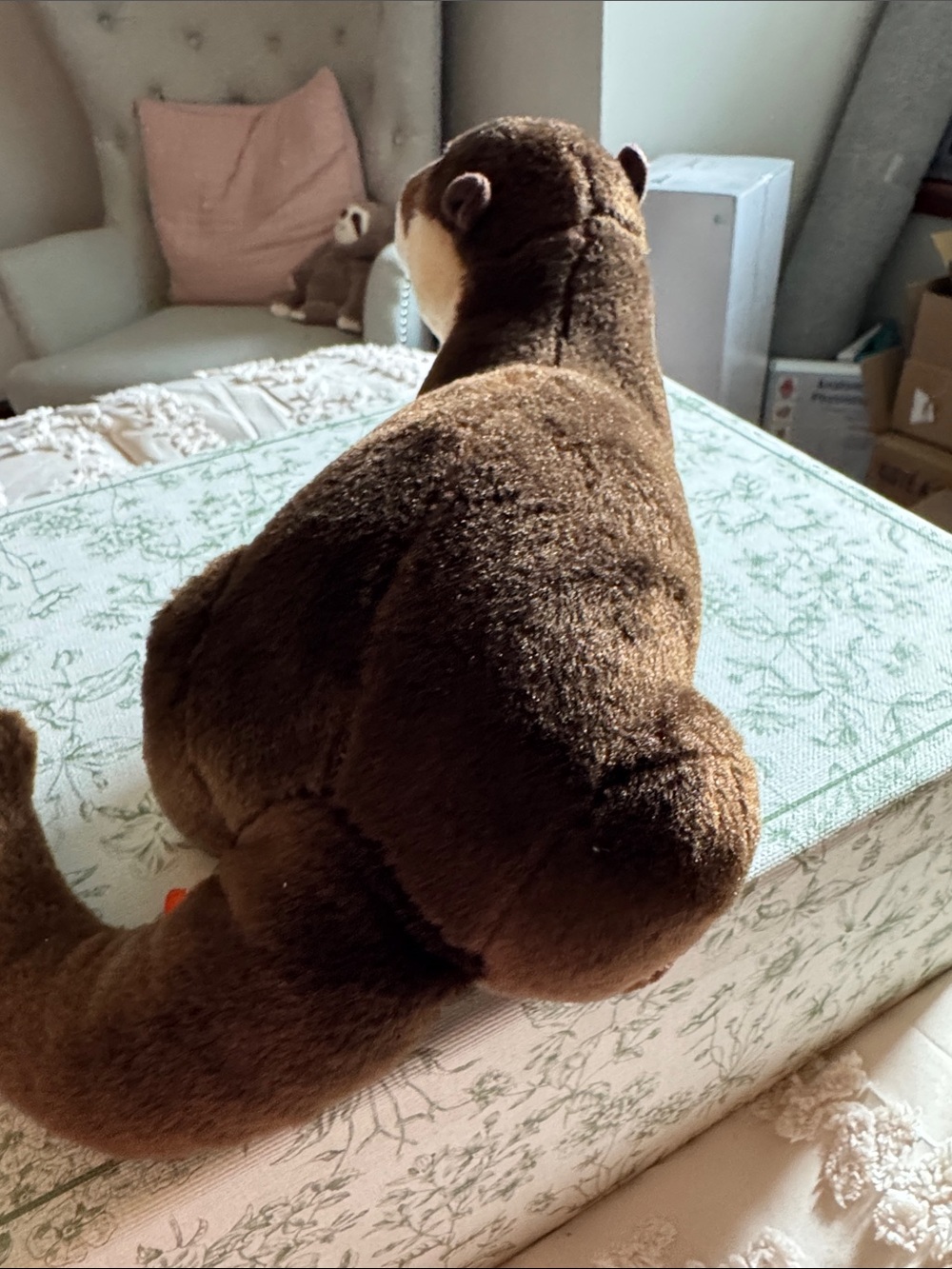 Plush Otter Stuffed Animal - Brown and Cream - Ty - Picture 3 of 5